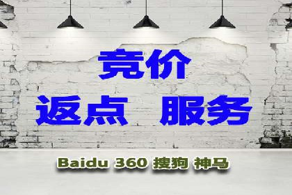 竞价SEM托管案例：广告投放的优化之道